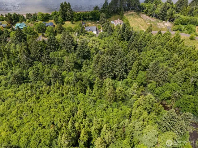 an aerial view of residential houses with outdoor space and trees