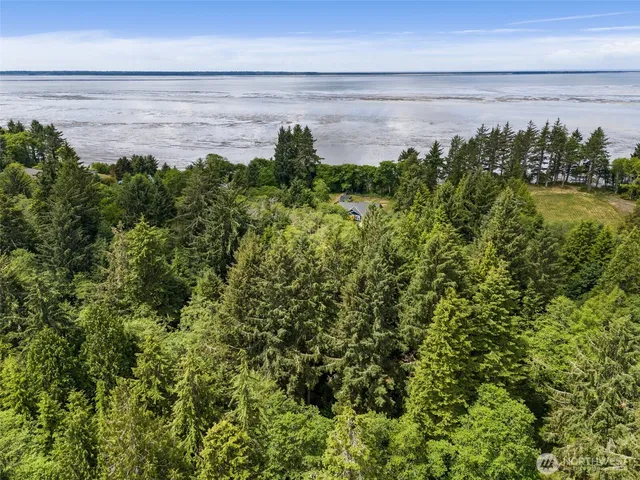 a view of a lake from a yard