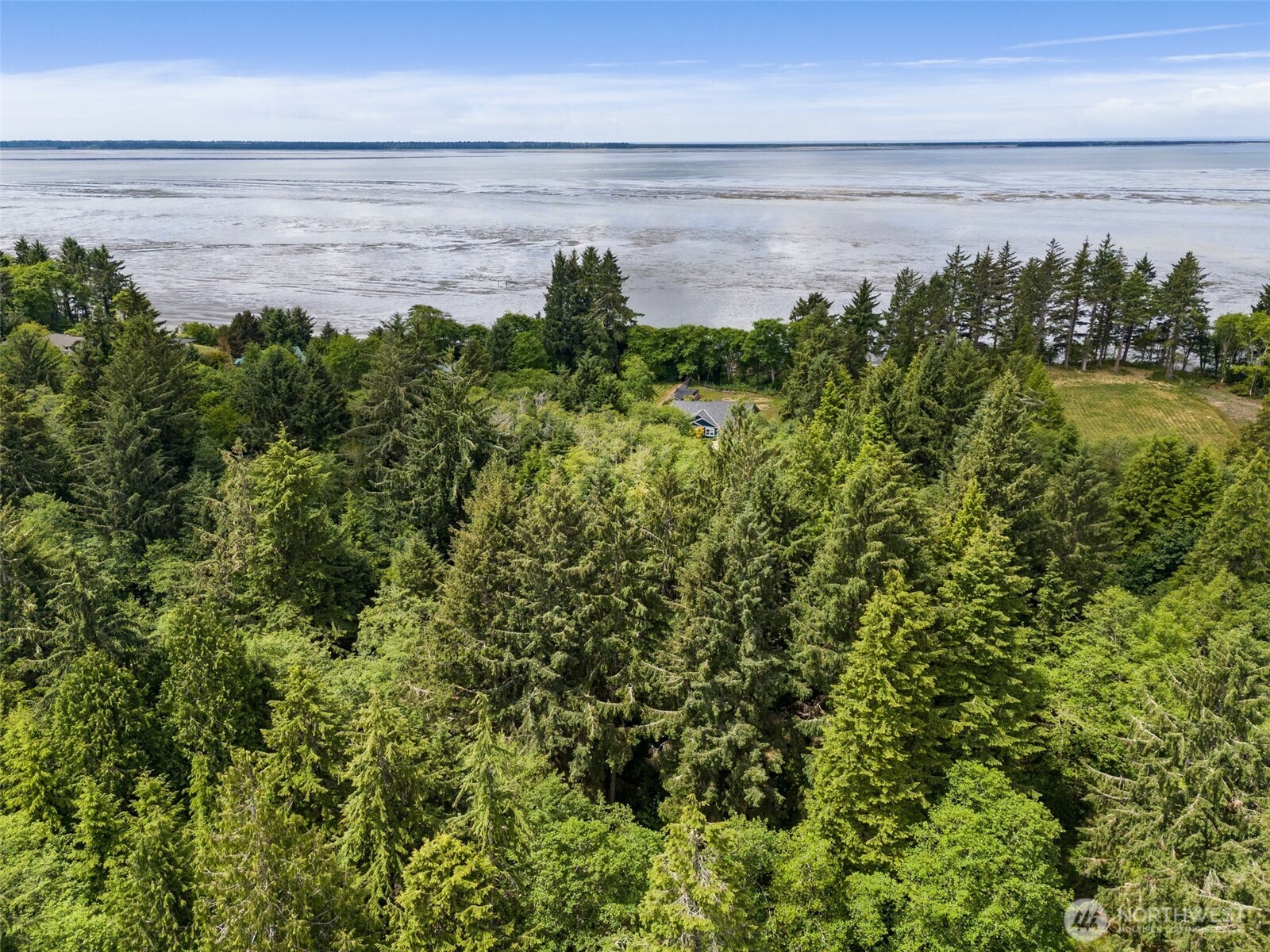 56 Ranta Road South Bend, WA 98586 - Photo 19 of 20 a view of a lake from a yard