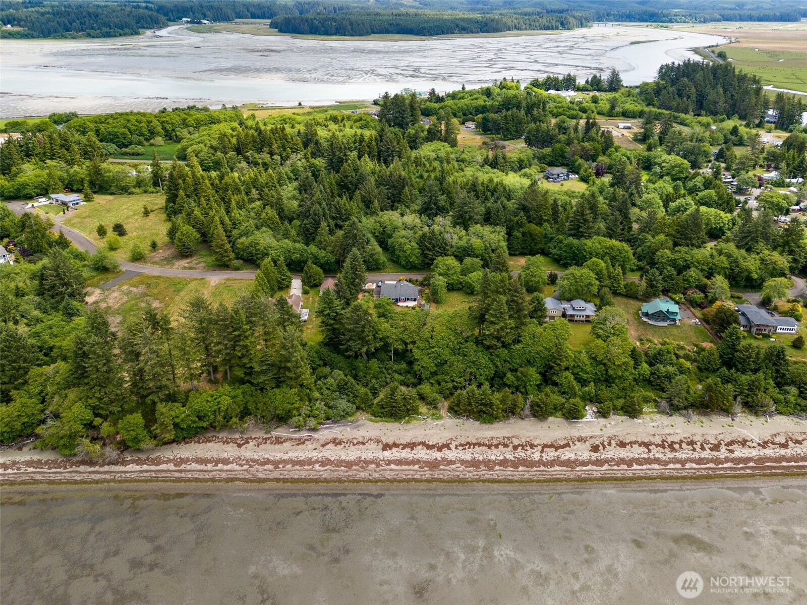 56 Ranta Road South Bend, WA 98586 - Photo 6 of 20 a view of a yard