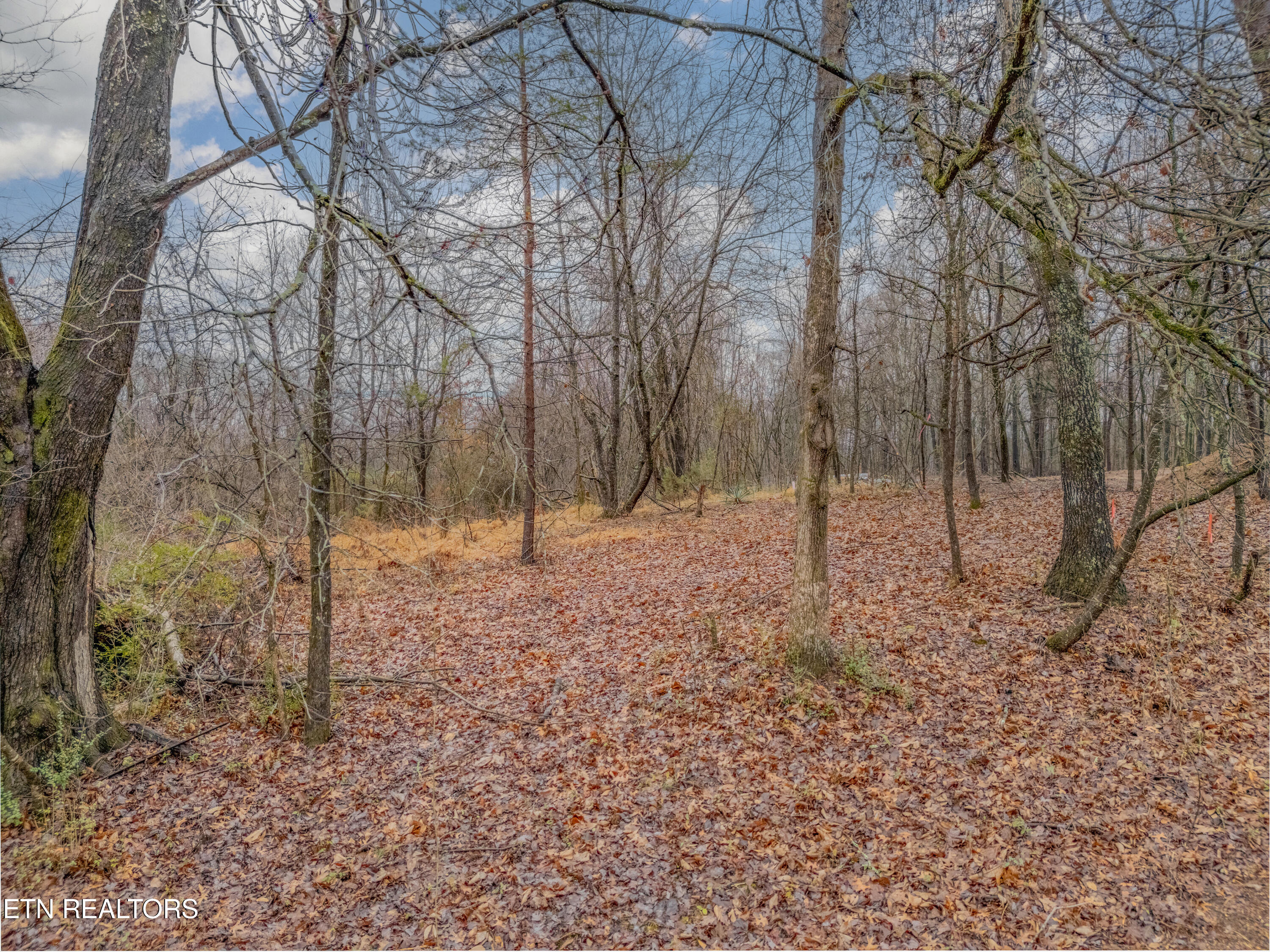 479 Black Oak Road Clinton, TN 37716 - Photo 4 of 17 DJI_20260204215217_0008_D-HDR