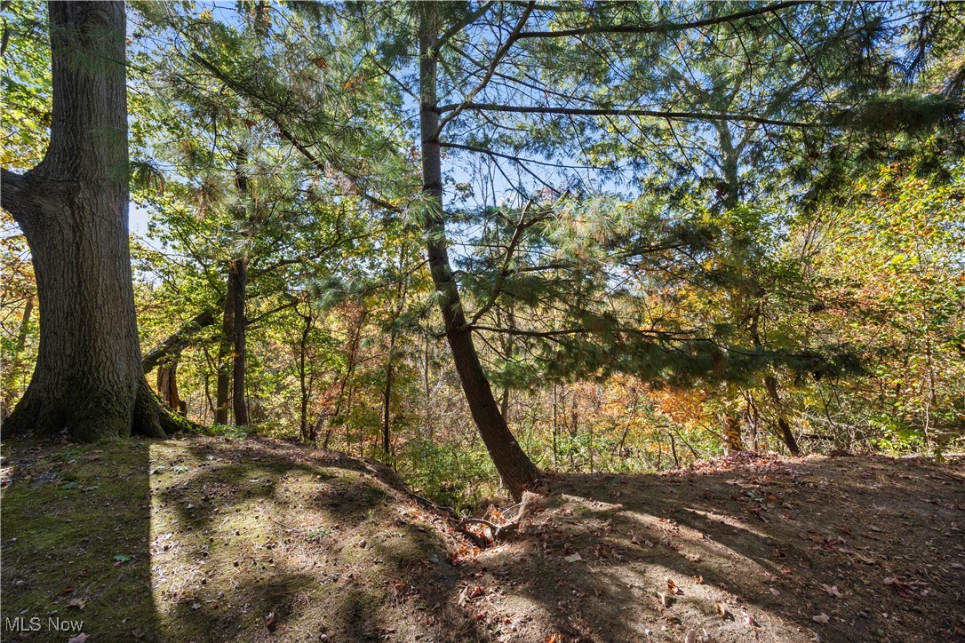 1711 Gulf Road Elyria, OH 44035 - Photo 46 of 50 View of woods