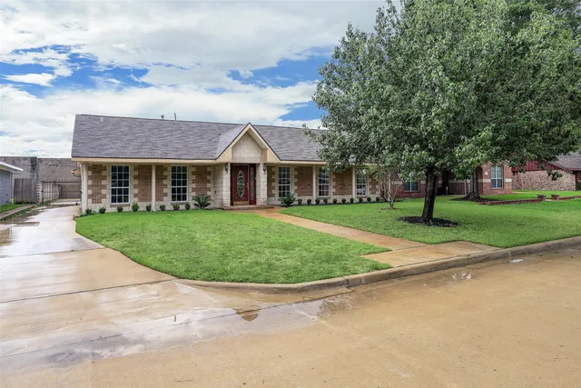 a view of a white house with a yard potted plants and large tree
