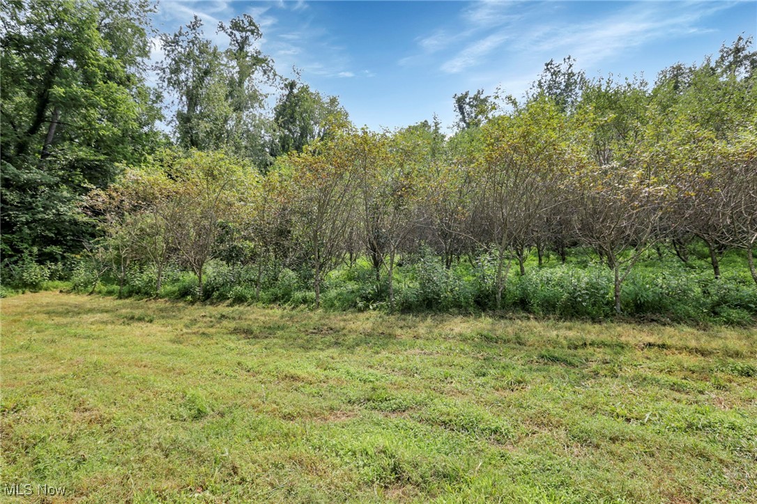 1890 Baltimore Road Northwest Lancaster, OH 43130 - Photo 44 of 50 Apple Orchard with 85 trees