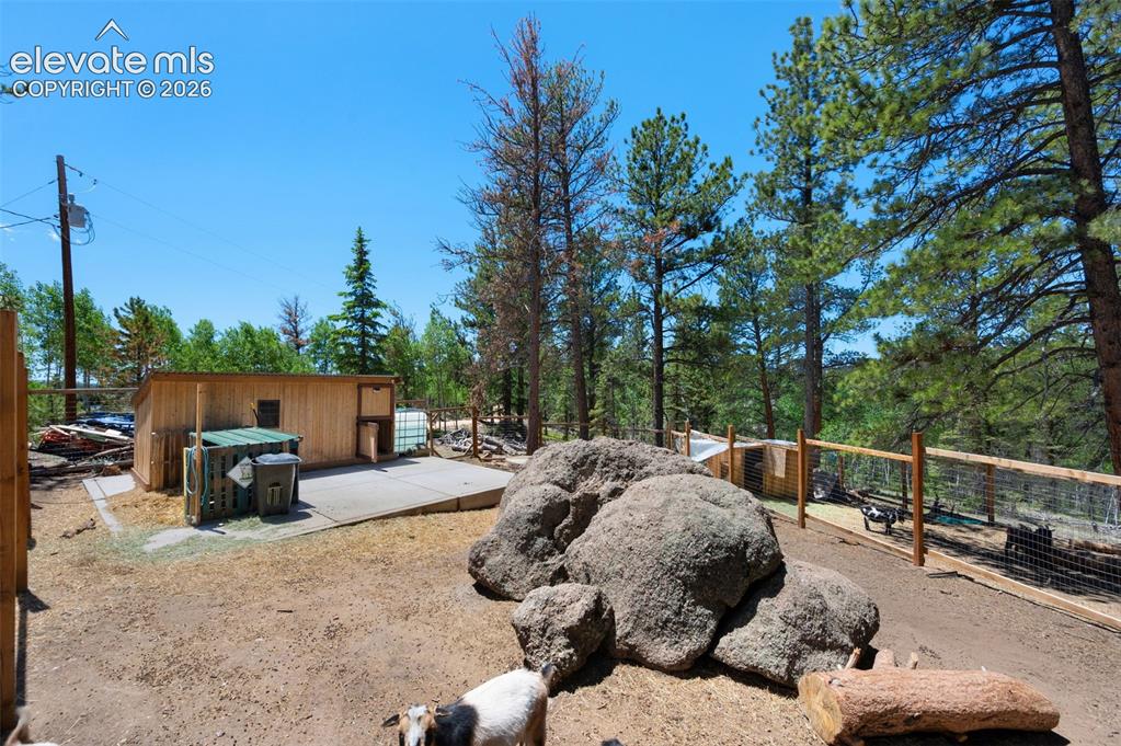 897 Fossil Creek Road Florissant, CO 80816 - Photo 32 of 41