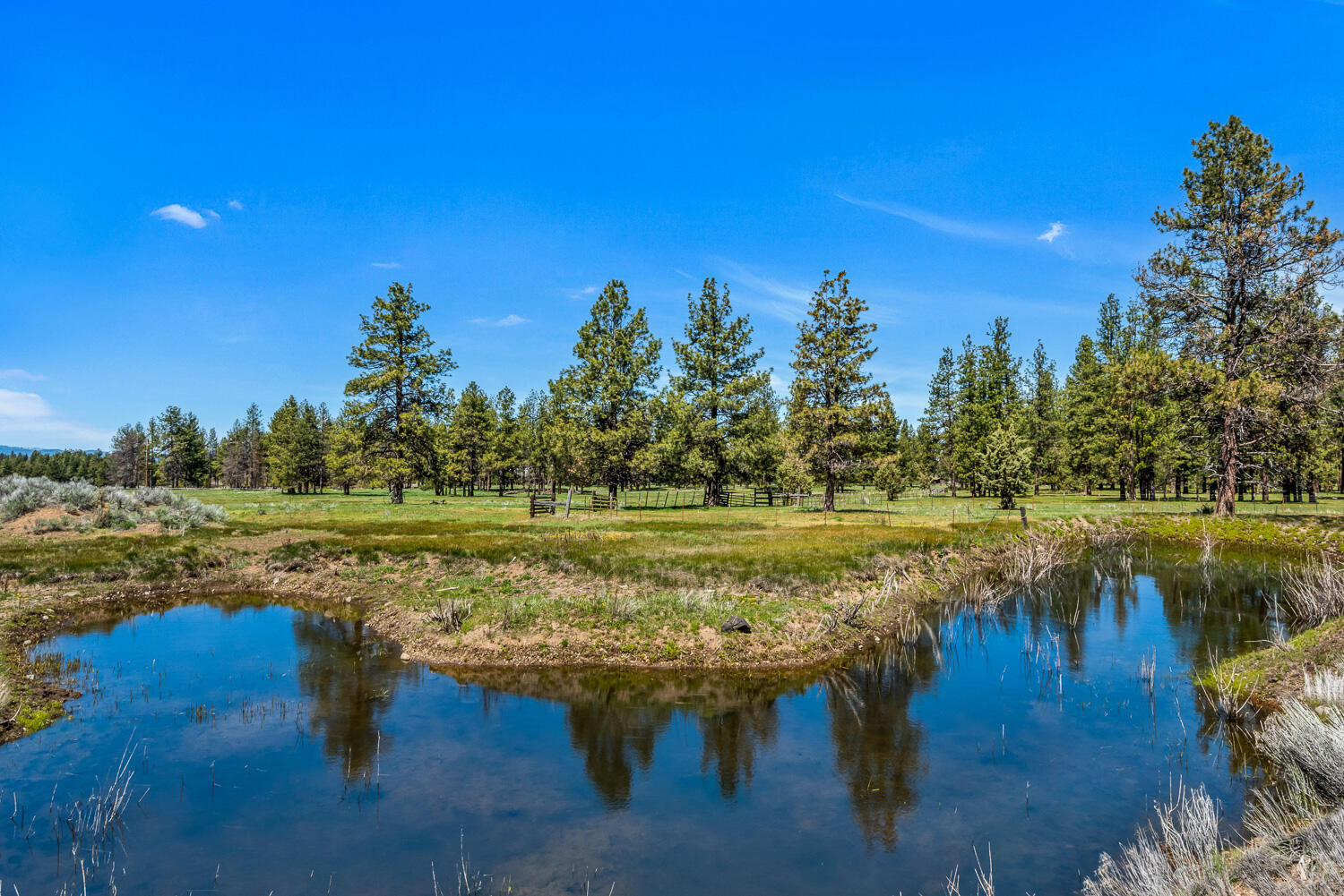 32841 River Bend Road Chiloquin, OR 97624 - Photo 67 of 77 068 Vladic River Ranch