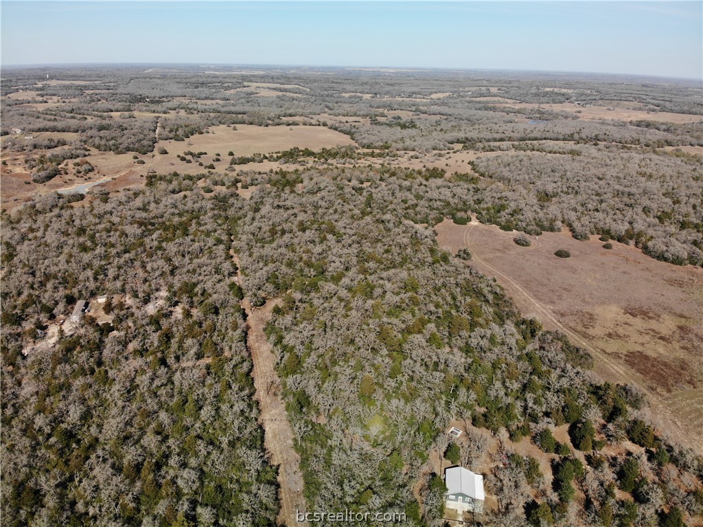 1202 Moonglow Lane Caldwell, TX 77836 - Photo 11 of 31