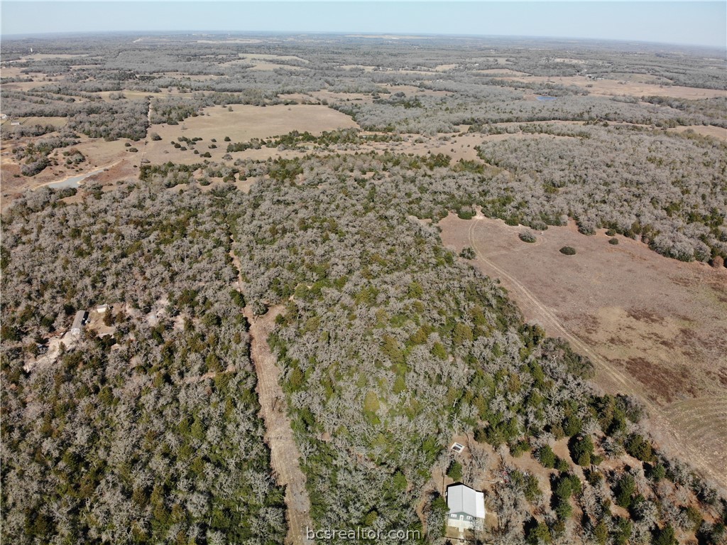 1202 Moonglow Lane Caldwell, TX 77836 - Photo 12 of 31