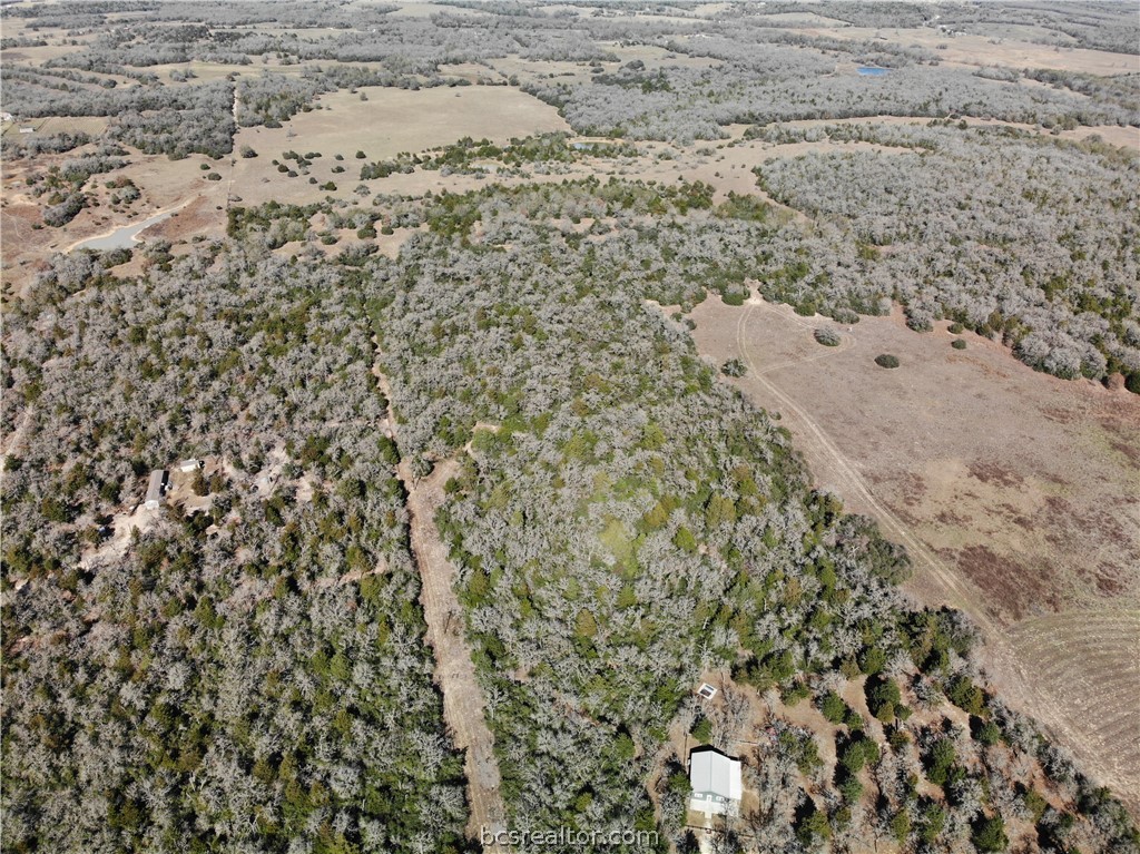 1202 Moonglow Lane Caldwell, TX 77836 - Photo 13 of 31