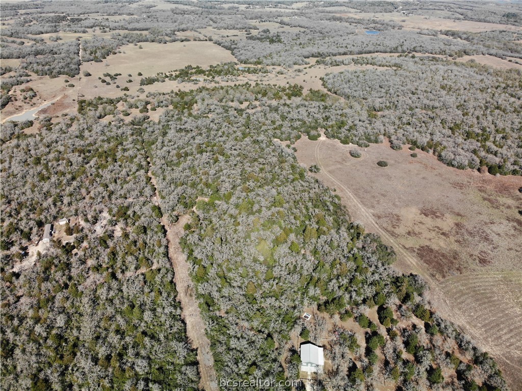 1202 Moonglow Lane Caldwell, TX 77836 - Photo 14 of 31