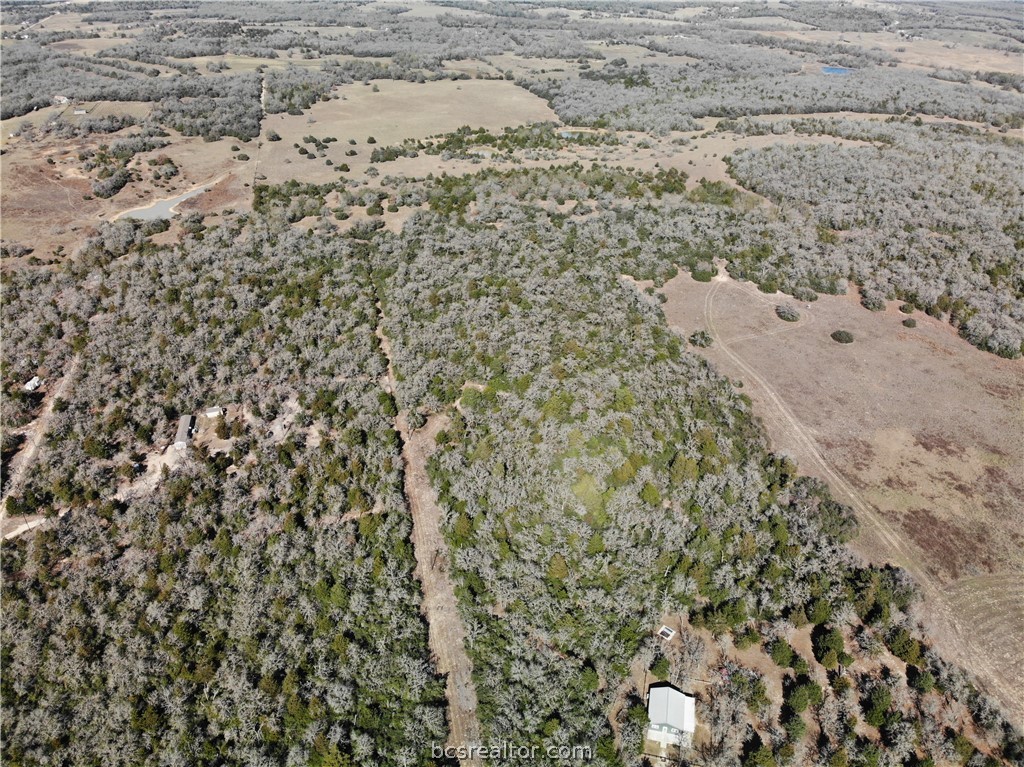 1202 Moonglow Lane Caldwell, TX 77836 - Photo 15 of 31