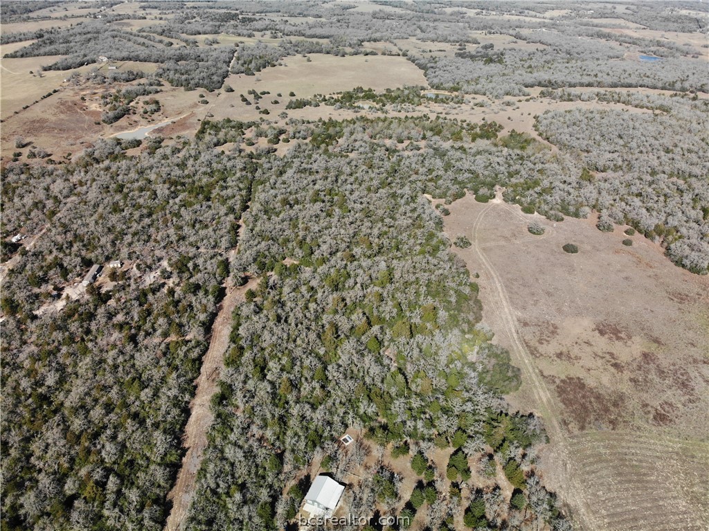 1202 Moonglow Lane Caldwell, TX 77836 - Photo 16 of 31
