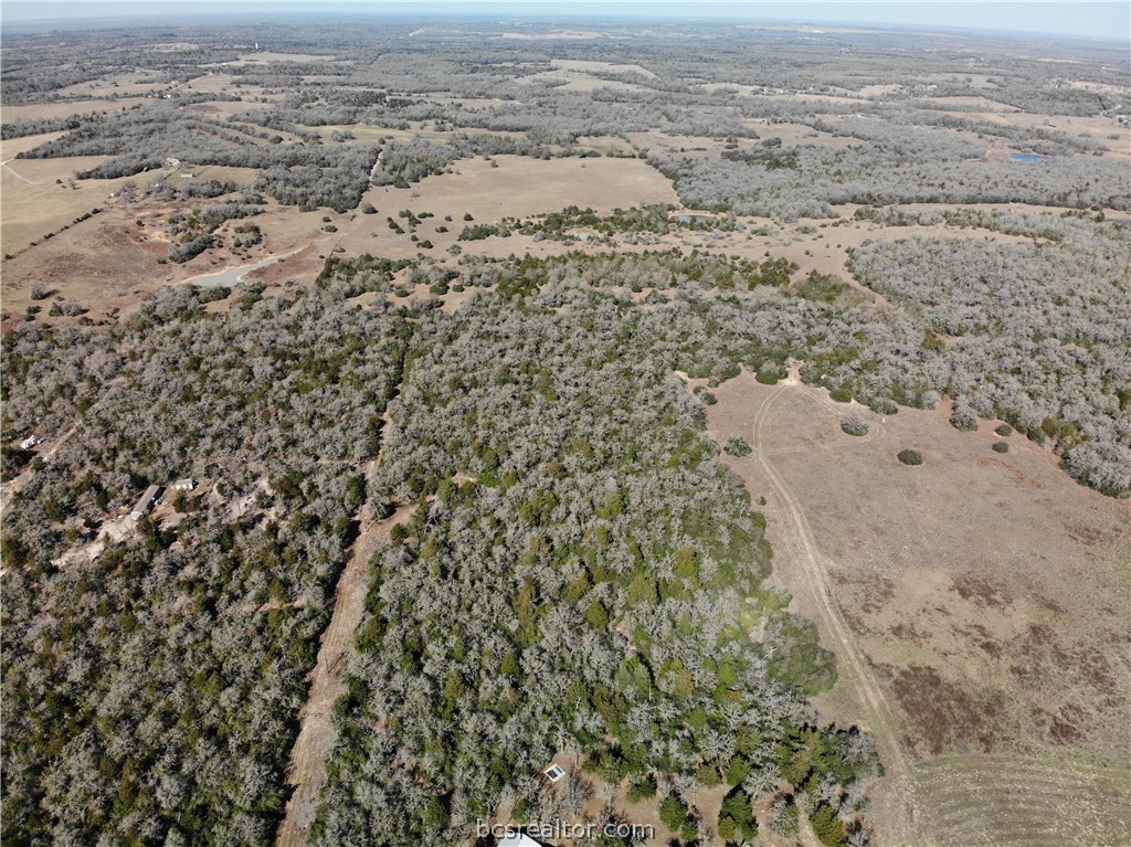 1202 Moonglow Lane Caldwell, TX 77836 - Photo 17 of 31