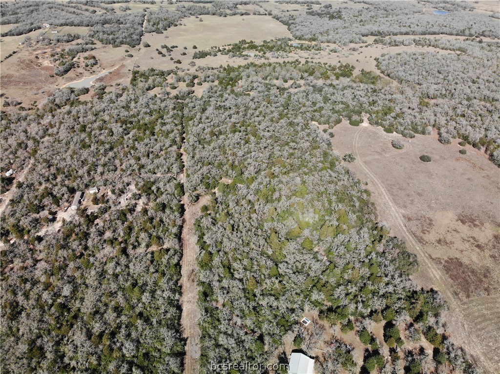 1202 Moonglow Lane Caldwell, TX 77836 - Photo 18 of 31