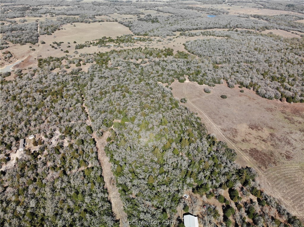 1202 Moonglow Lane Caldwell, TX 77836 - Photo 19 of 31