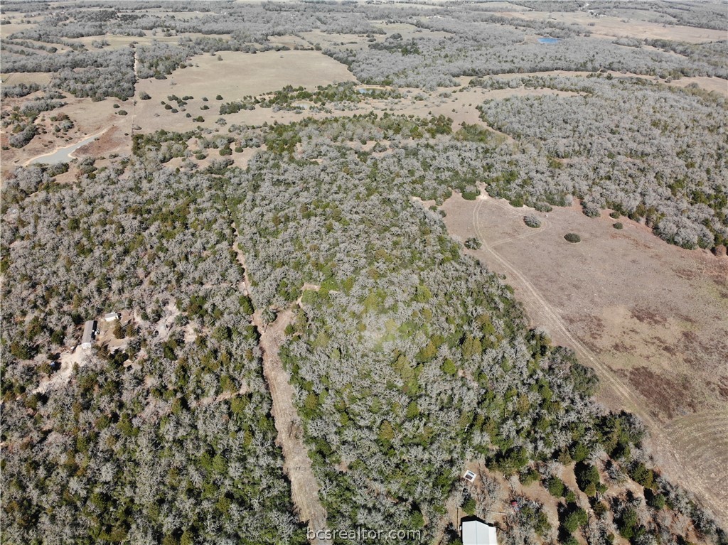 1202 Moonglow Lane Caldwell, TX 77836 - Photo 20 of 31