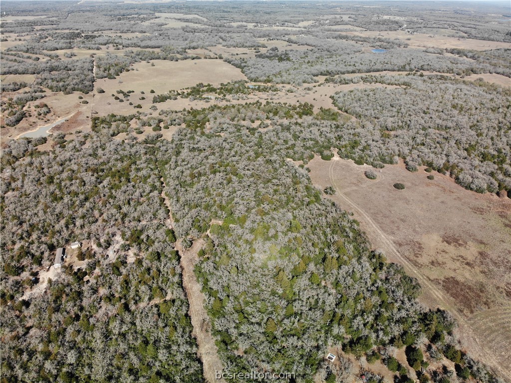 1202 Moonglow Lane Caldwell, TX 77836 - Photo 21 of 31