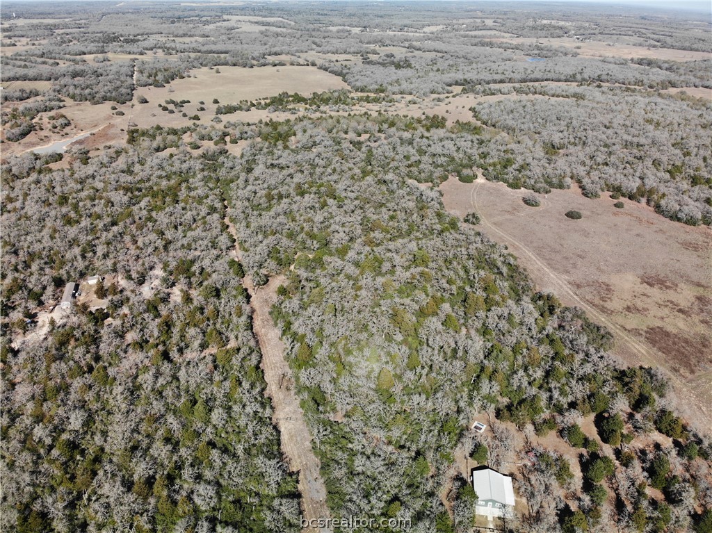 1202 Moonglow Lane Caldwell, TX 77836 - Photo 22 of 31