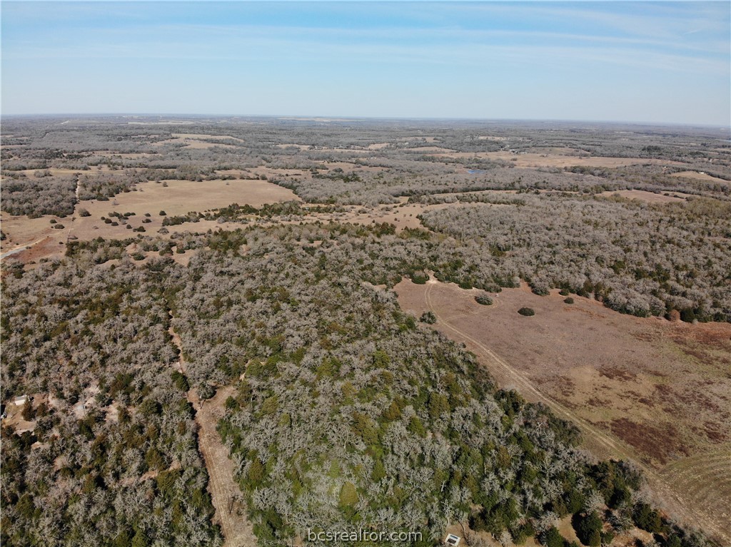 1202 Moonglow Lane Caldwell, TX 77836 - Photo 23 of 31