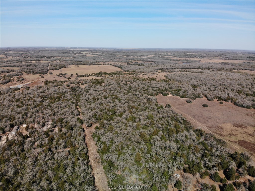 1202 Moonglow Lane Caldwell, TX 77836 - Photo 25 of 31