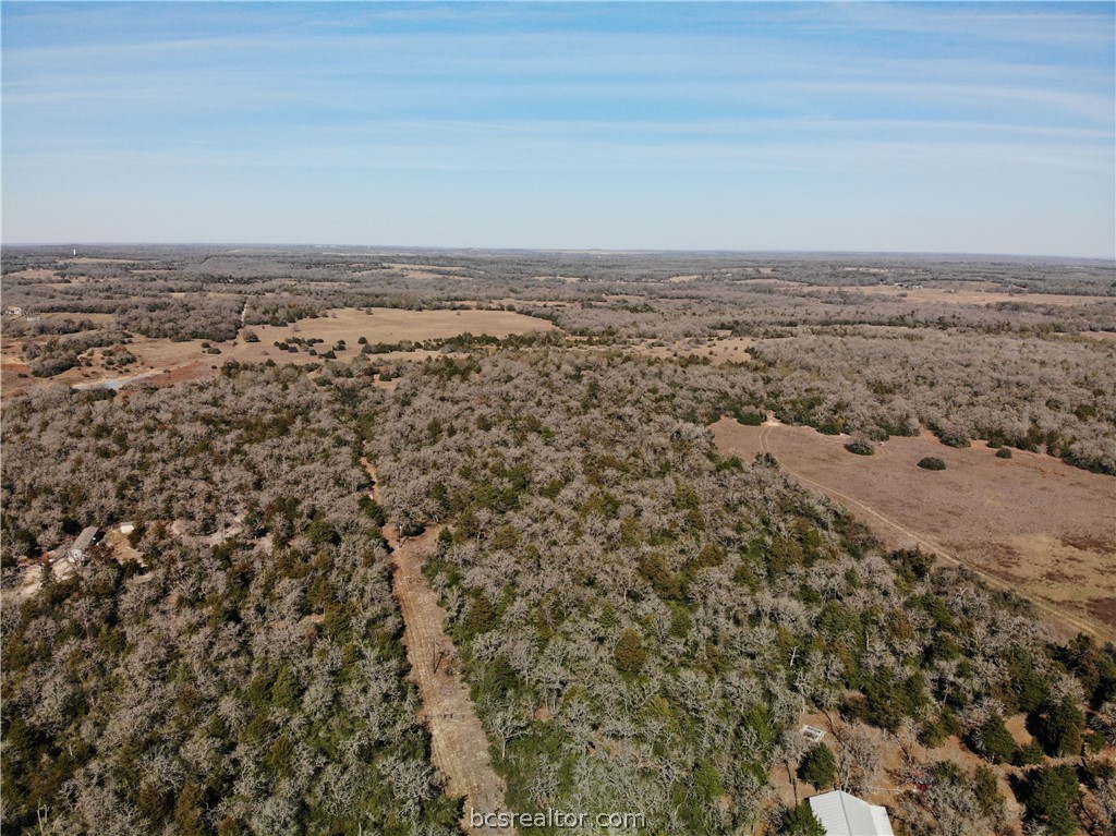 1202 Moonglow Lane Caldwell, TX 77836 - Photo 26 of 31