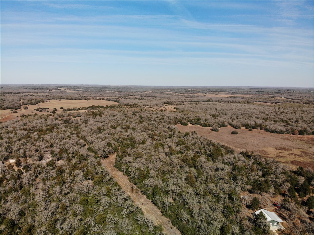 1202 Moonglow Lane Caldwell, TX 77836 - Photo 28 of 31