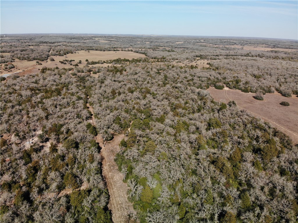 1202 Moonglow Lane Caldwell, TX 77836 - Photo 29 of 31