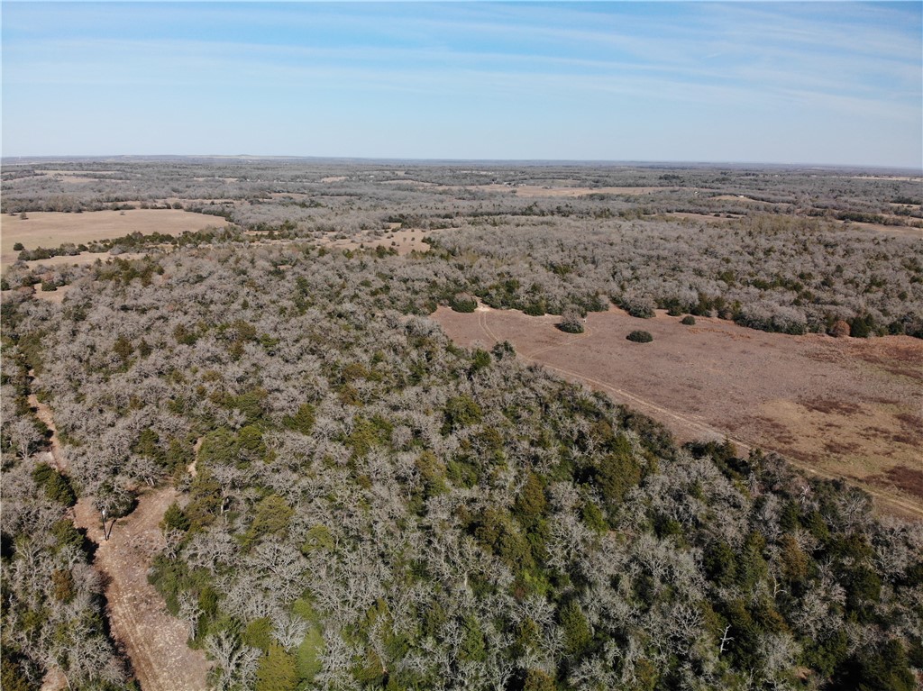 1202 Moonglow Lane Caldwell, TX 77836 - Photo 30 of 31