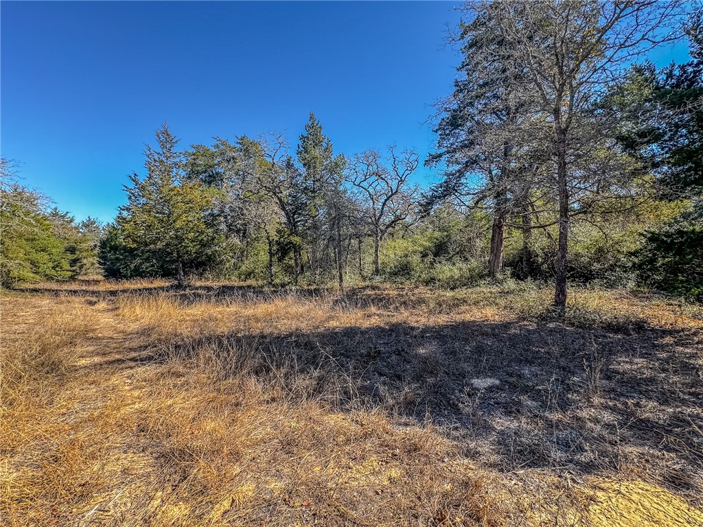 1202 Moonglow Lane Caldwell, TX 77836 - Photo 3 of 31