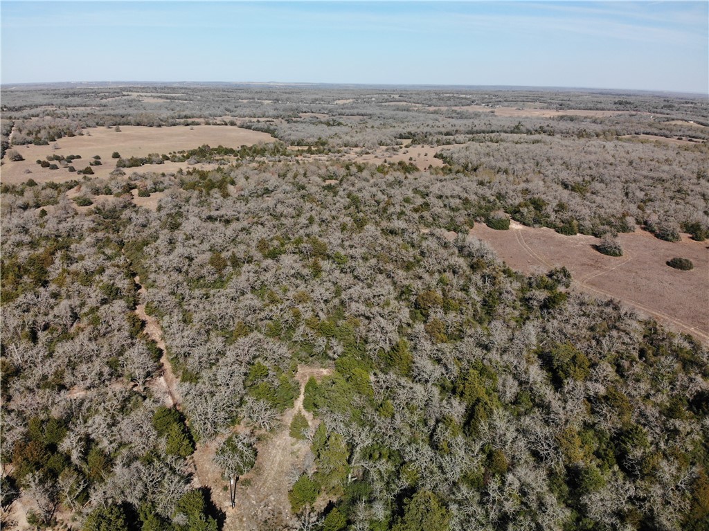 1202 Moonglow Lane Caldwell, TX 77836 - Photo 31 of 31