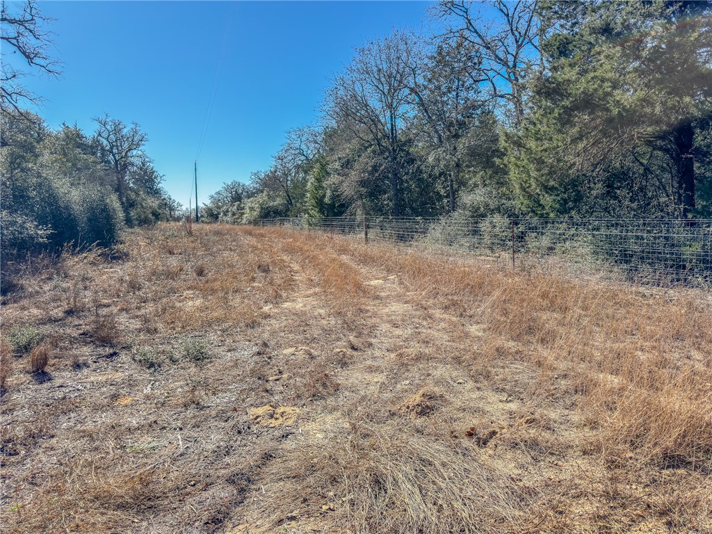 1202 Moonglow Lane Caldwell, TX 77836 - Photo 4 of 31