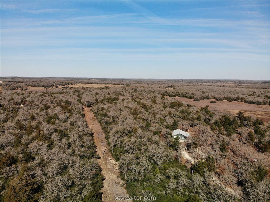 1202 Moonglow Lane Caldwell, TX 77836 - Photo 6 of 31