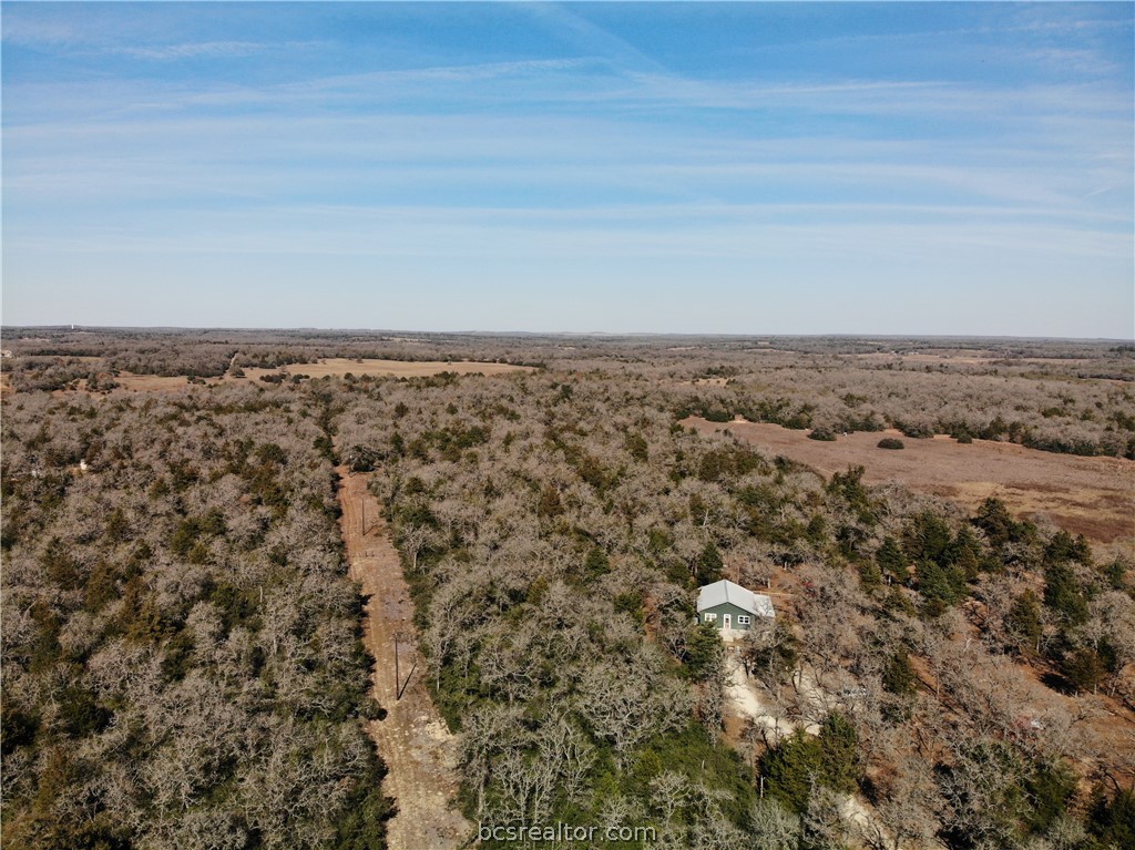 1202 Moonglow Lane Caldwell, TX 77836 - Photo 7 of 31
