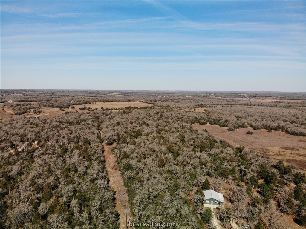 1202 Moonglow Lane Caldwell, TX 77836 - Photo 8 of 31
