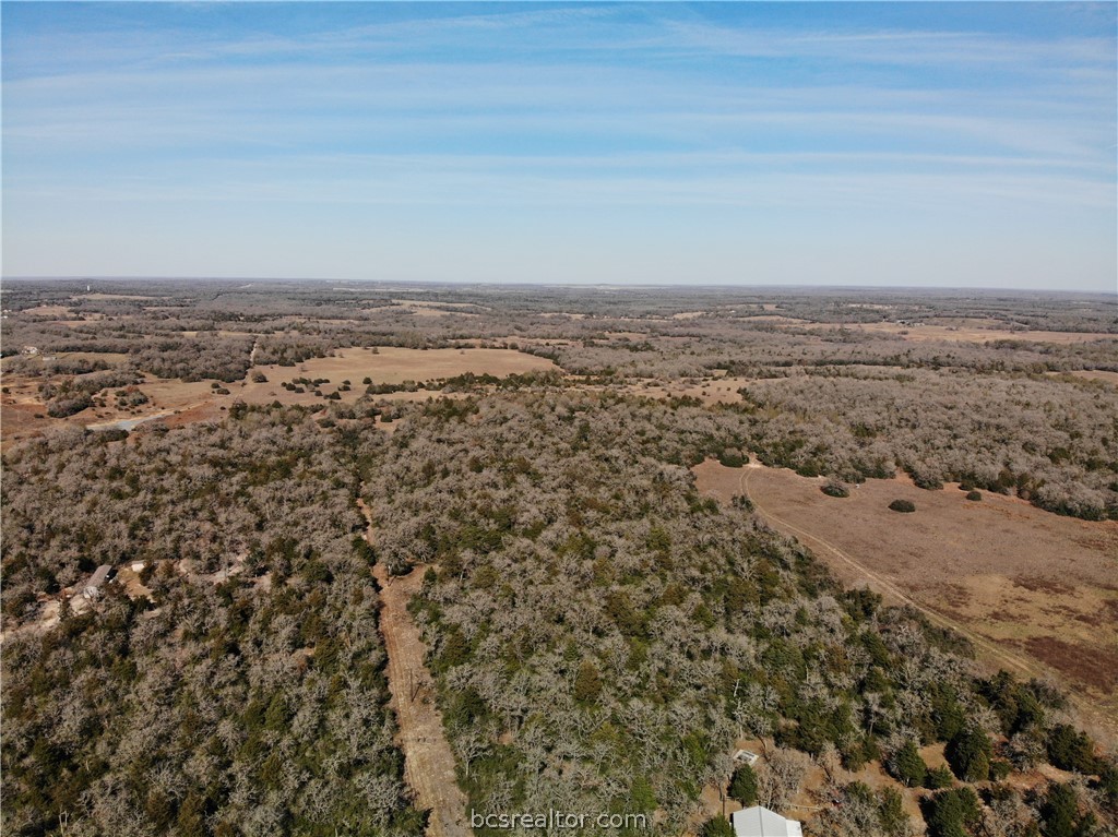1202 Moonglow Lane Caldwell, TX 77836 - Photo 9 of 31