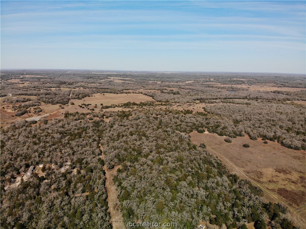 1202 Moonglow Lane Caldwell, TX 77836 - Photo 10 of 31