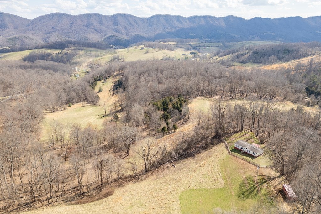 823 Moccasin Ridge Road Lebanon, VA 24266 - Photo 6 of 69 Gallery Image 6