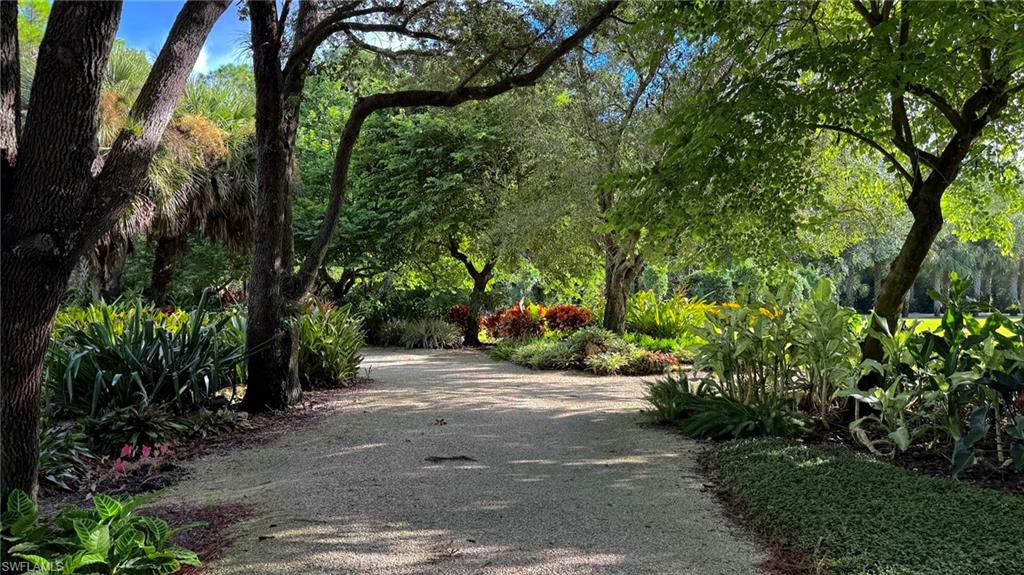 15536 Monterosso Lane, Unit 201 Naples, FL 34110 - Photo 26 of 29 a view of a street with potted plants and large trees