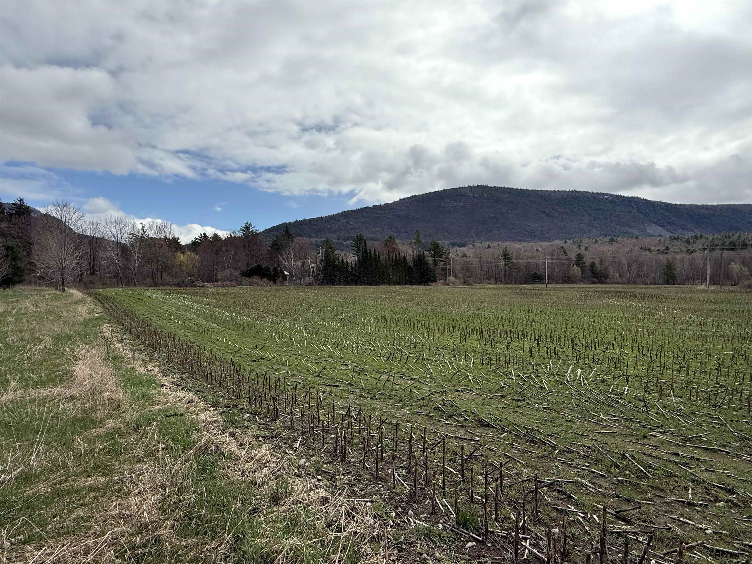 Tbd Hewitt Road Bristol, VT 05443 - Photo 3 of 14 Gallery Image 3