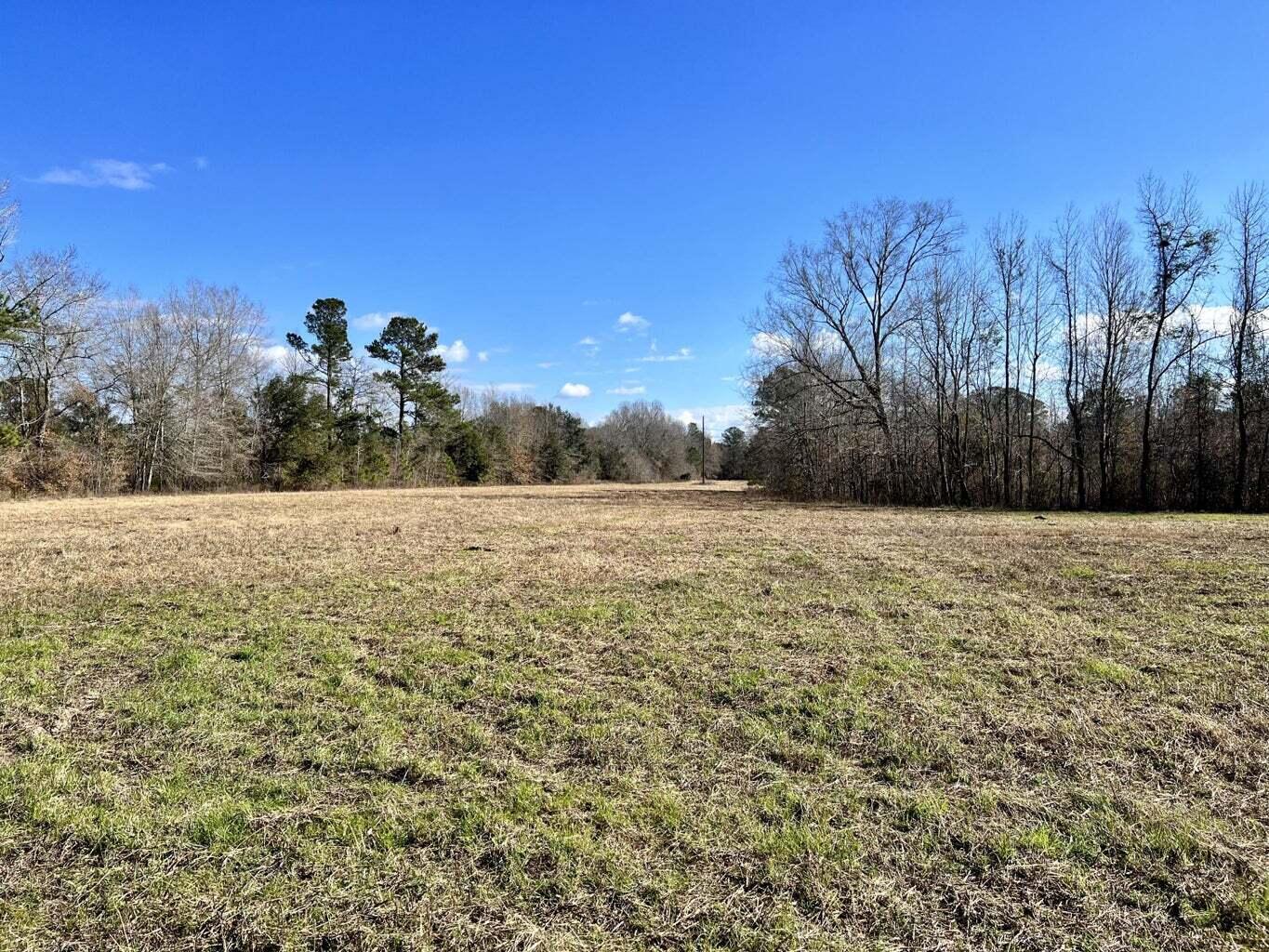 0 Dennis Ridge Road Bonneau, SC 29431 - Photo 1 of 7 cover