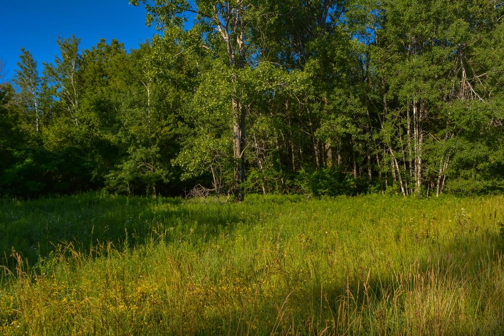 Franks Road Sturgeon Bay, WI 54235 - Photo 4 of 13 Gallery Image 4