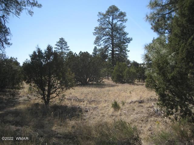 260 Overgaard Az 85933 Overgaard, AZ 85933 - Photo 2 of 6