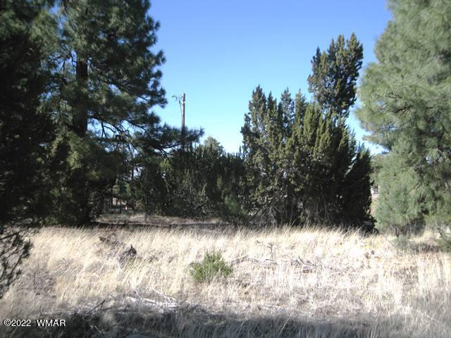 260 Overgaard Az 85933 Overgaard, AZ 85933 - Photo 5 of 6