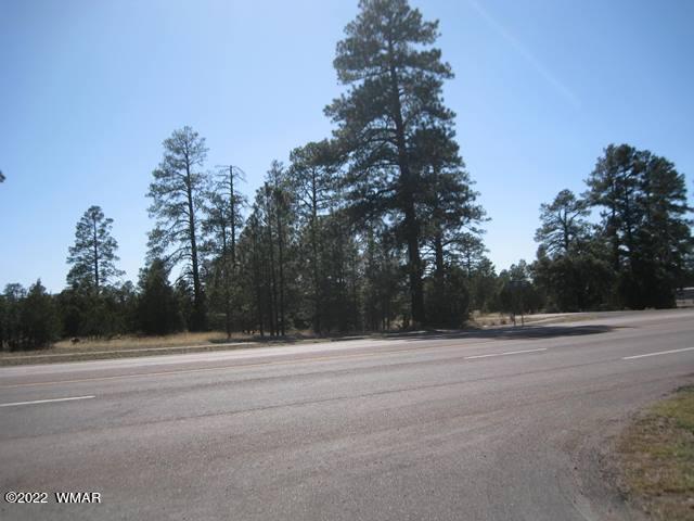260 Overgaard Az 85933 Overgaard, AZ 85933 - Photo 6 of 6