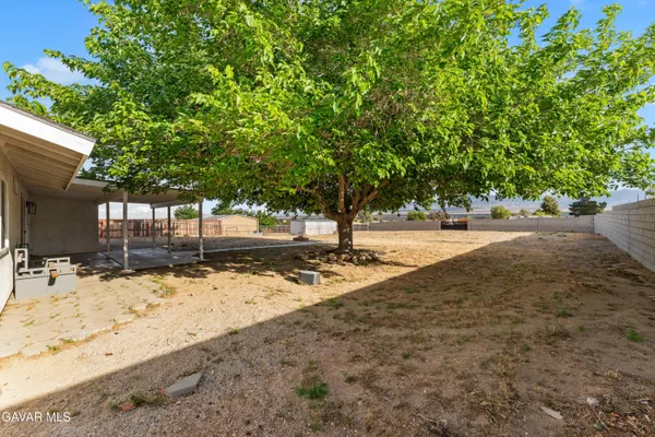 a view of a yard with large trees