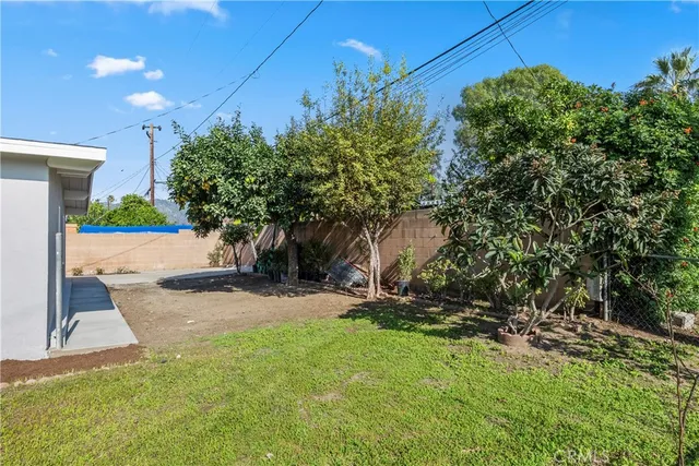 a view of a backyard with plants and trees