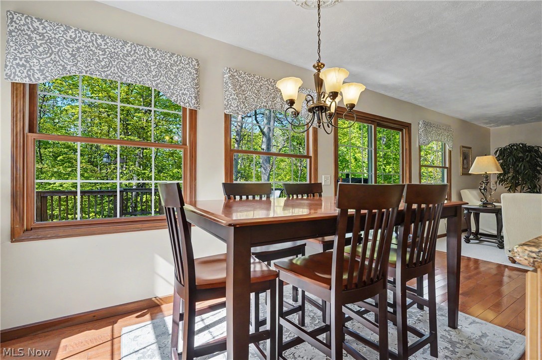 11003 Prouty Road Painesville, OH 44077 - Photo 29 of 50 eat in kitchen