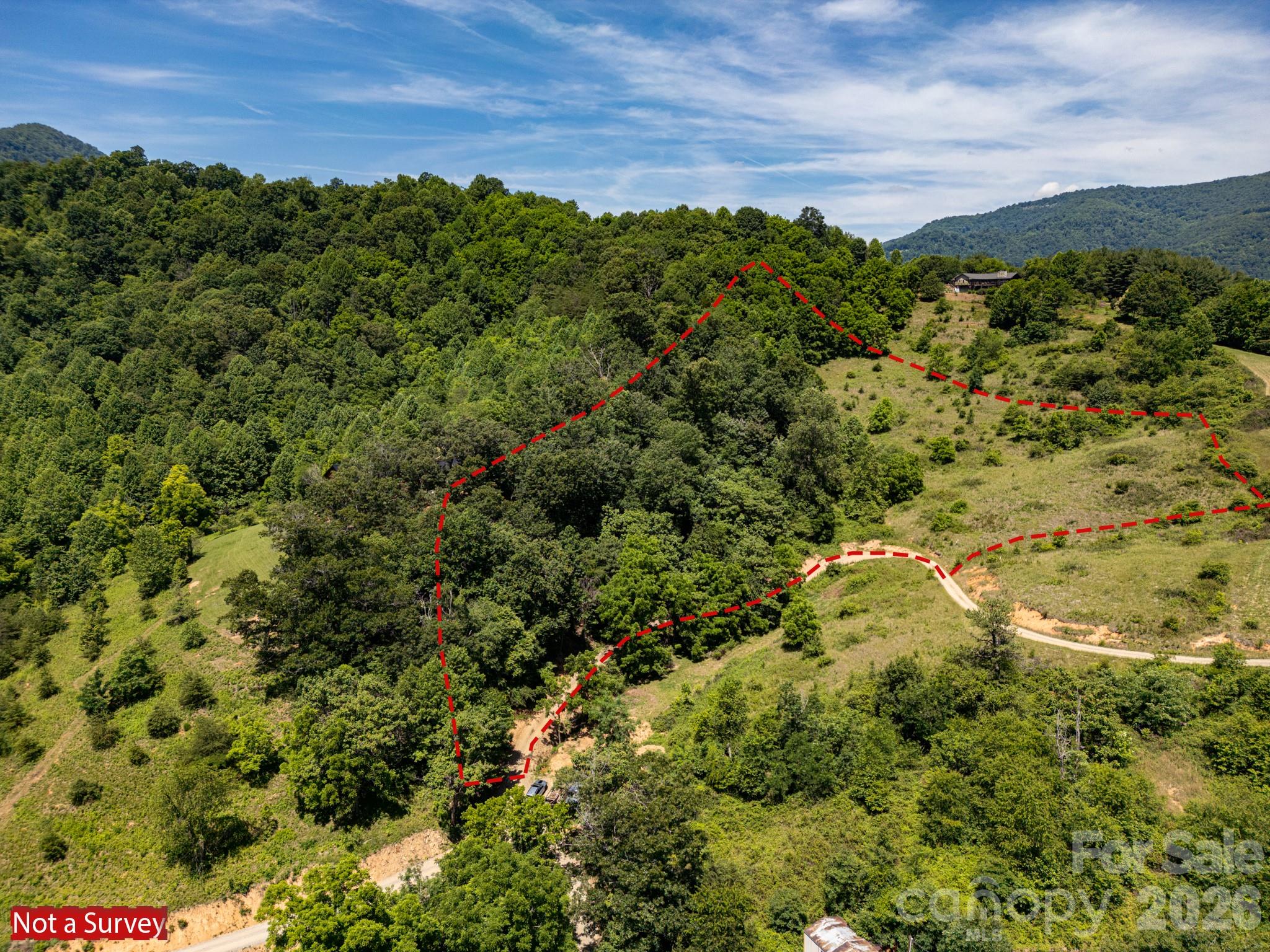 999 Murphy Cove Road Candler, NC 28715 - Photo 3 of 48