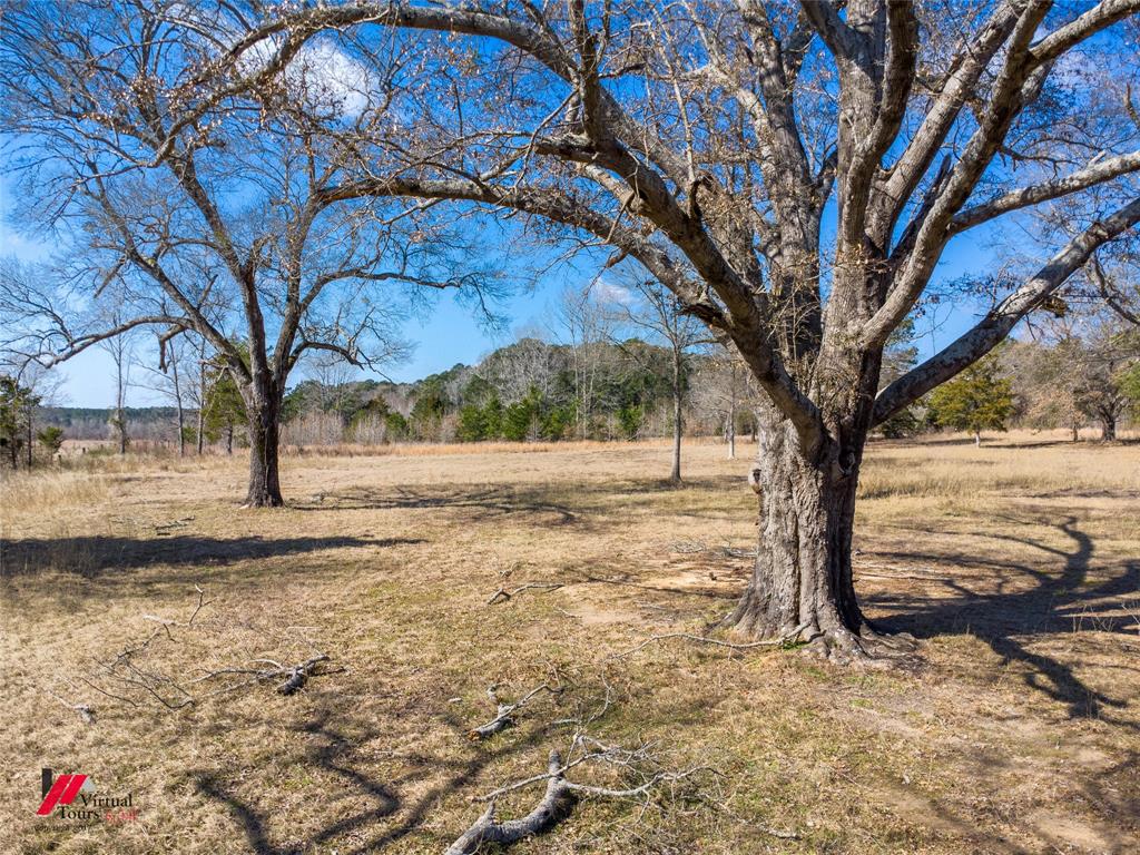 14876 Old Atlanta Road Vivian, LA 71082 - Photo 5 of 23