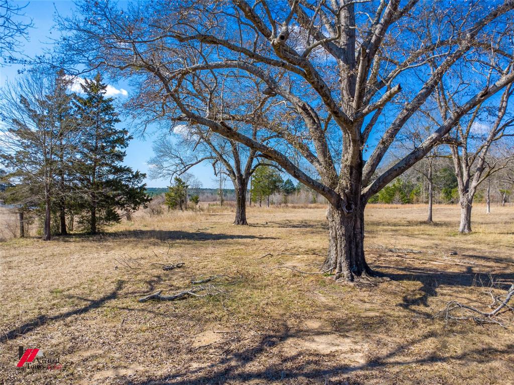 14876 Old Atlanta Road Vivian, LA 71082 - Photo 8 of 23